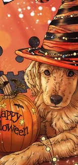 Cute puppy wearing a Halloween witch hat with pumpkin.