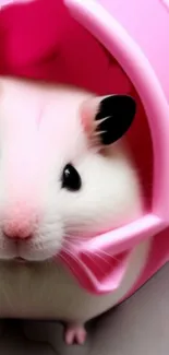 Cute hamster resting in a pink habitat.