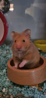 Cute hamster sitting in a wooden bowl, surrounded by colorful bedding.