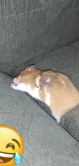 Cute sleeping hamster on a green couch with a laughing emoji.