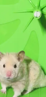 Cute hamster sitting on a green exercise wheel, perfect for mobile wallpaper.