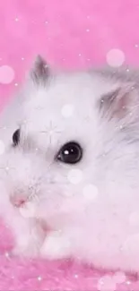 Cute white hamster on a fluffy pink background.