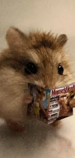 Cute hamster reading a tiny magazine, beige background.