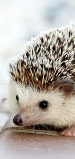 Charming hedgehog on a wooden surface, perfect for mobile background.