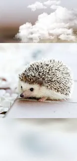 Cute hedgehog with cloud background on phone wallpaper.