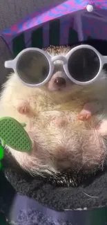 Hedgehog relaxing with sunglasses under a colorful umbrella.