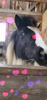 Cute horse with heart overlays in a rustic barn setting.