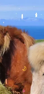 Adorable horses under a starry cartoon sky by the ocean.