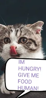 Hungry cat with speech bubble saying 'Give me food!' on dark background.