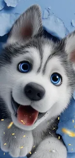 Adorable husky puppy breaking through a blue background.