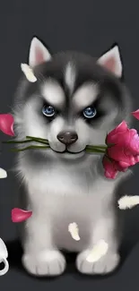 Charming husky puppy with pink rose on dark background.