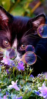 Black and white kitten sniffs purple flowers surrounded by lush greenery.