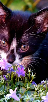 Black and white kitten amidst purple flowers.