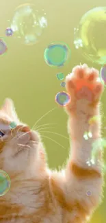 Cute kitten playfully reaching for bubbles on a light green background.