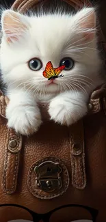 Cute white kitten with a butterfly on its nose in a brown leather bag.