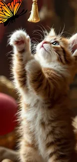 Kitten reaching for a butterfly.