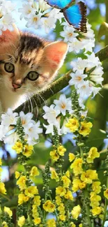 Cute kitten peeking from a tree with butterfly and flowers.