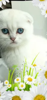 Cute white kitten with blue eyes surrounded by daisies.