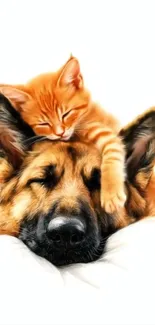 Cute orange kitten resting on a dog's head peacefully.
