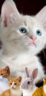 Adorable kitten and animals mobile wallpaper with charming pets.