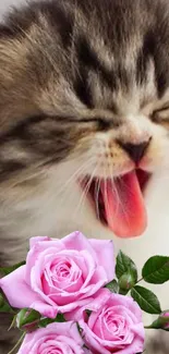 Yawning kitten with pink roses in mobile wallpaper.