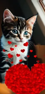 Cute kitten surrounded by red hearts with a soft focus background.