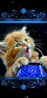 Adorable kitten with blue floral design mobile wallpaper.