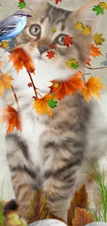 Adorable kitten with autumn leaves and a bird, perfect wallpaper.