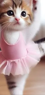 Adorable kitten wearing pink ballet outfit.