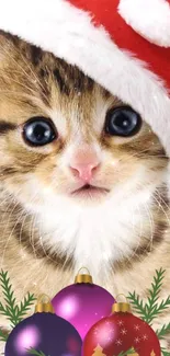 Kitten in Santa hat with Christmas ornaments on festive wallpaper.