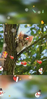 Kitten peeking from tree with festive Christmas decorations around.