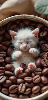 A cute white kitten sleeping on coffee beans in a cup.