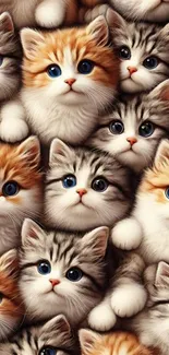 Collage of cute, fluffy kittens with orange and gray fur.