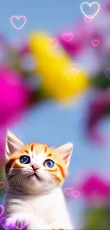 Cute kitten with hearts and blurred colorful background.