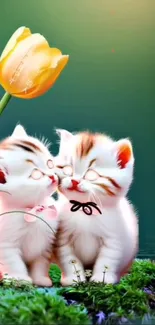 Two cute kittens with a tulip on a lush green background.