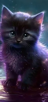 Cute kitten with blue eyes in a fantasy setting with sparkling stars.