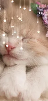 Sleeping kitten with floral crown on head, beige fur background.