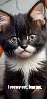 Adorable kitten with pumpkins Halloween theme.