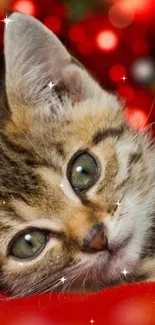 Cute kitten on a red festive background with bokeh lights.