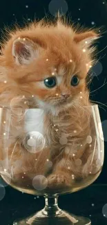 Adorable orange kitten snuggled in a glass cup, perfect mobile wallpaper.