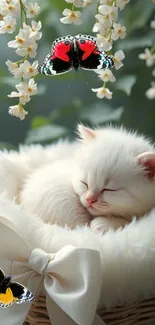 White kitten asleep in basket with butterflies and flowers.