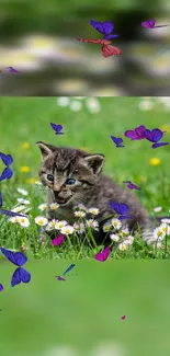 Cute kitten surrounded by butterflies in a green meadow.