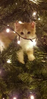 Cute kitten nestled in Christmas tree with glowing lights.