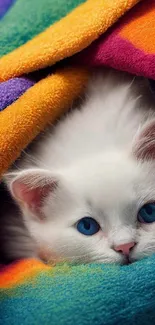 Fluffy white kitten in vibrant colorful blanket.