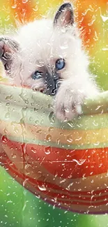 Cute kitten nestled in a colorful hammock with vibrant background.