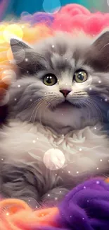 Cute fluffy kitten in colorful yarn background.