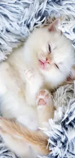 Cute kitten nestled in a fluffy gray and white blanket.