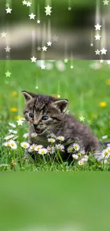 Kitten playing in a field of daisies with star effects in the background.