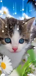 Cute kitten with blue eyes amidst daisies and stars.