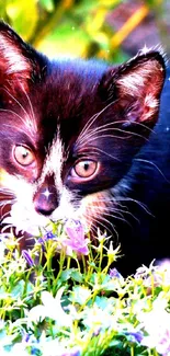 Cute kitten nestled among vibrant garden flowers.